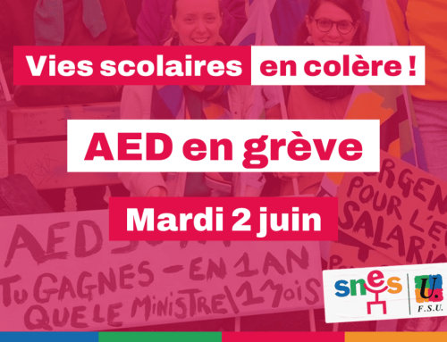 AED: grève et mobilisation le 2 juin